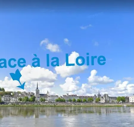 شقة Mezzanine Quai De Loire Hyper Centre Local A Velo سوموور